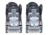 740814 - Intellinet Network Patch Cable, Cat7 Cable/Cat6A Plugs, 2m, Black, Copper, S/FTP, LSOH / LSZH, PVC, RJ45, Gold Plated Contacts, Snagless, Booted, Lifetime Warranty, Polybag - Close up