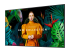 LH55QBCEBGCXEN - Samsung QB55C - 55" Diagonal Class QBC Series LED-backlit LCD display - Right-angle
