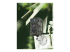 4719 - Technaxx Nature Wild Cam TX-69 - Right-angle
